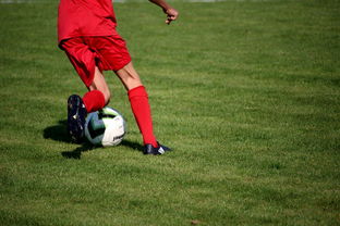 开云体育中国官网-校园足球师资培训体系建设方案,校园足球特色学校教师(教练员)线上培训