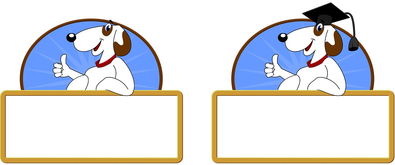 开云权威入口-校园体育节活动对学生参与度的促进作用,学校体育节活动描述